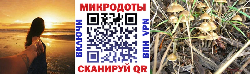 Псилоцибиновые грибы MAGIC MUSHROOMS  где купить наркоту  ссылка на мегу ONION  Ревда 
